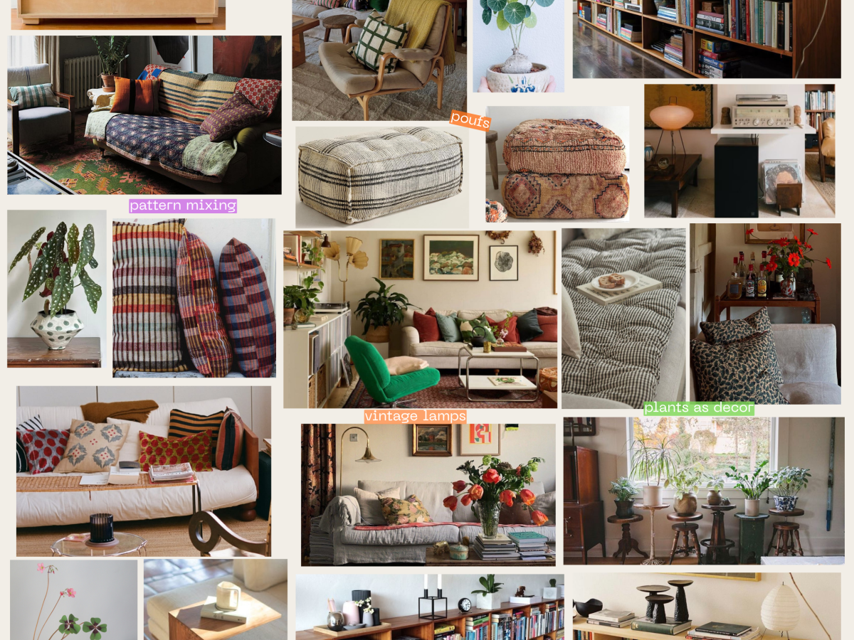 A collected & cozy living&nbsp;room